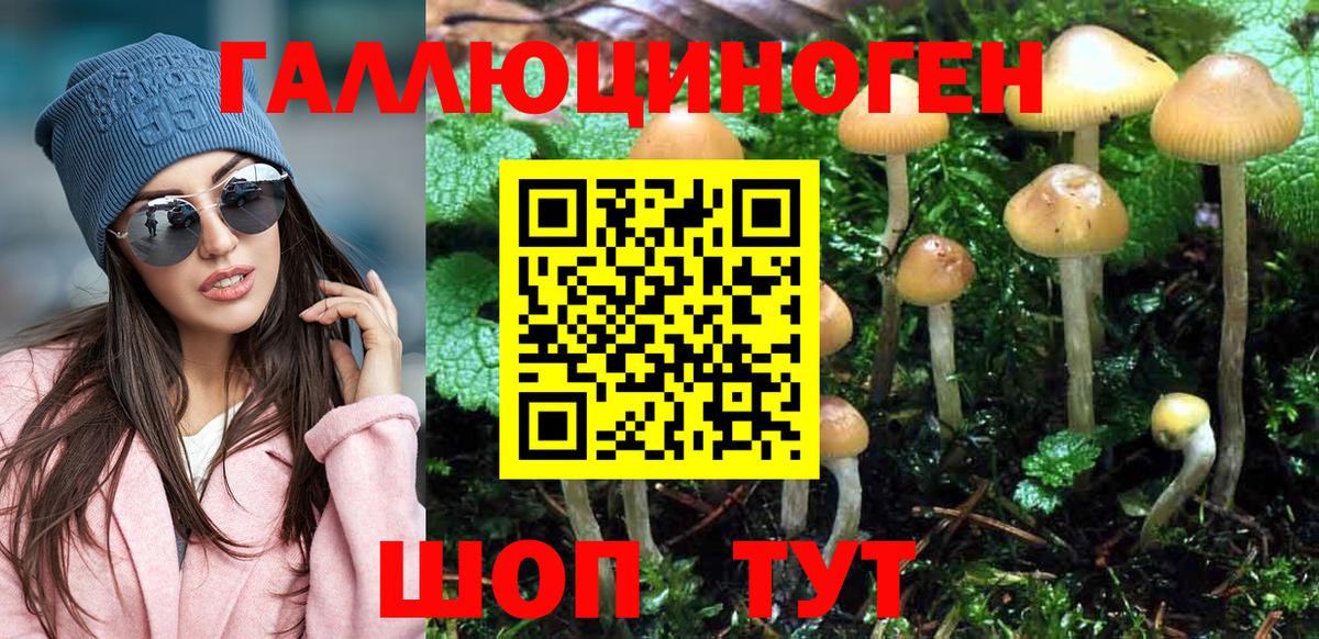 Псилоцибиновые грибы прущие грибы Дивногорск
