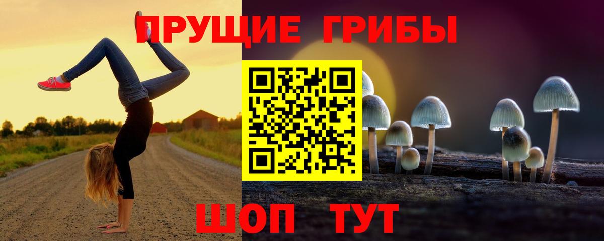 Псилоцибиновые грибы Cubensis  Псилоцибиновые грибы MAGIC MUSHROOMS  Дивногорск  Вход с VPN 